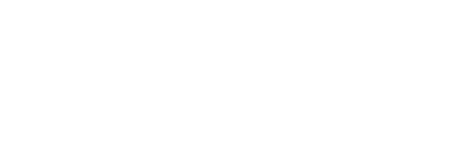 Constitution Action Network